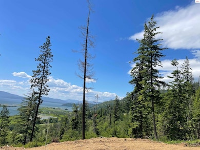 NNA Hwy 200, Clark Fork, ID 83811 - photo 3