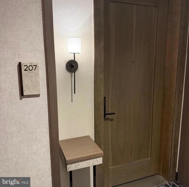 Ritz-Carlton Residences unit 207, Chevy Chase, MD 20815 - photo 4