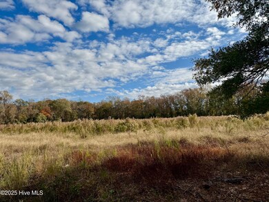 180 Asbury Rd, Cove City, NC 28523 - photo 4