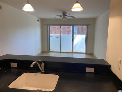 1521 Virginia Ave unit 1, Charlottesville, VA 22903 - photo 4