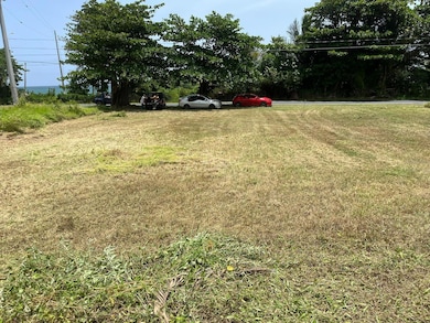 Bo. Guardarraya Km.h 3 St, Patillas, PR 00723 - photo 2