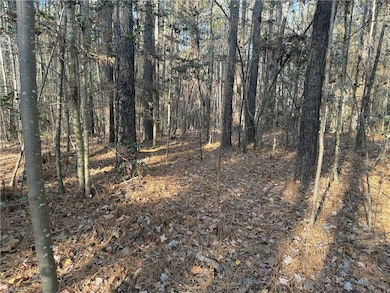 19.6 acres Willie Rd, Seagrove, NC 27341 - photo 4