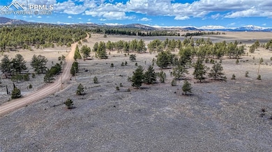 403 Jasper Way, Hartsel, CO 80449 - photo 2