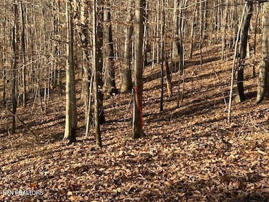 0 Whistle Valley Rd unit 1324743, New Tazewell, TN 37825 - photo 7