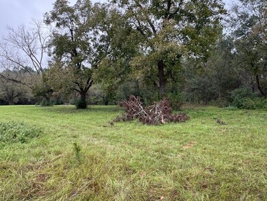 0- Wesley Rigdon Rd, Abraham Baldwin College, GA 31794 - photo 5