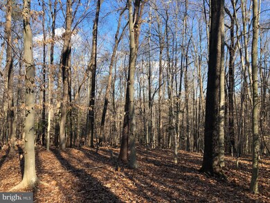 0 Cold Point Rd unit VAFX1127368, Clifton, VA 20124 - photo 2