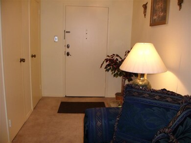 Spacious entrance area with two double closets.