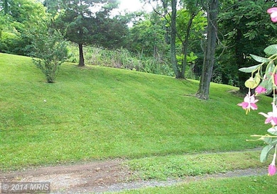 62 Cedar Top Ln, Front Royal, VA 22630 - photo 3