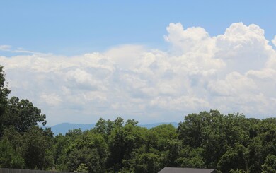 Front Porch View