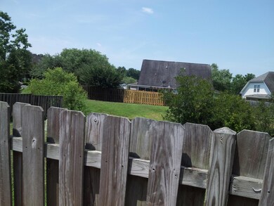 3029 Fence pond