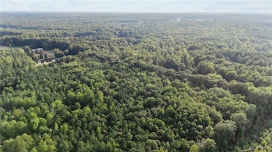 Drone / aerial view of a heavily wooded area