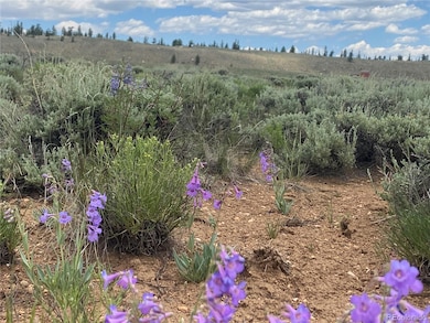 0 Decagon Loop Parcel 12 unit REC7569973, Twin Lakes, CO 81251 - photo 5