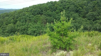 289 Ridgeview, Moorefield, WV 26836 - photo 6