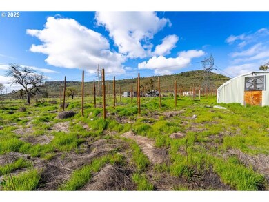 10695 Kildee Ave, Centralpoint, OR 97502 - photo 6