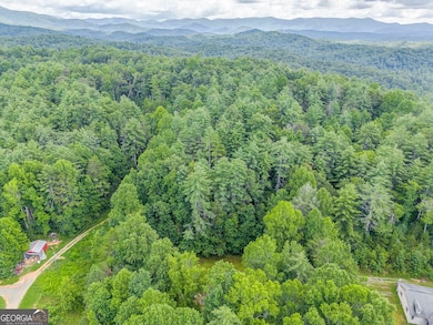 10610 Chatsworth Hwy, Ellijay, GA 30540 - photo 5