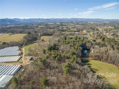 99999 Sunnyview Terrace unit C, Asheville, NC 28804 - photo 3