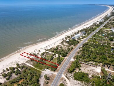 Parcel 4 Indian Pass Rd, Port St. Joe, FL 32456 - photo 4