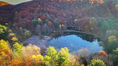 7667 Hickory Bottom Rd, Naples, NY 14512 - photo 2