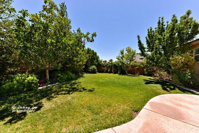 Backyard c