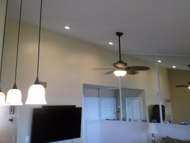Vaulted Living Room