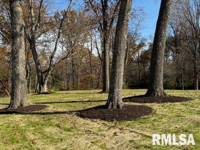 16429 N Hawthorne Hills Dr, Mount Vernon, IL 62864 - photo 7