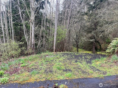 0 NE Solar View Ct, Keyport, WA 98370 - photo 2