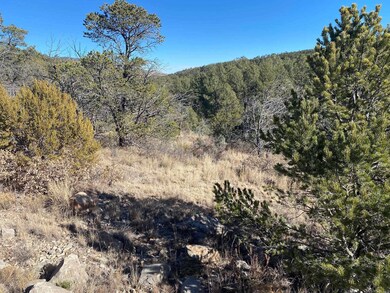 0 Ruby Dr, Timberon, NM 88350 - photo 4