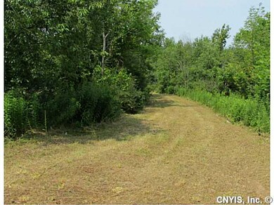 Land Path into lot from the road