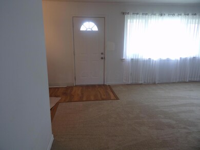 2233 Ferris carpet 1 (3)