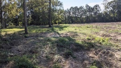 0 White Oak Dr unit 52200918, Conroe, TX 77306 - photo 3