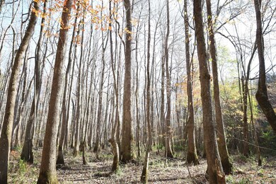 0 Hwy 82, Reform, AL 35481 - photo 2