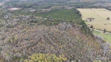 651 NW Flowers Rd, Madison, FL 32340 - photo 4