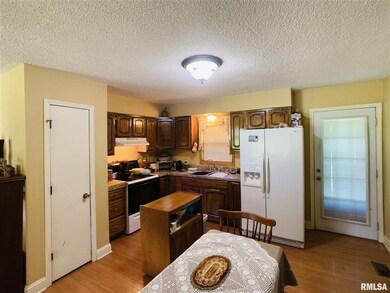 1500 Delmar St, Harrisburg, IL 62946 - photo 4