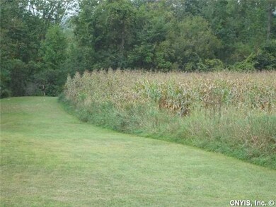 Land. Pinned property on Tully Farms side.