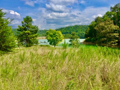 IMG_2253