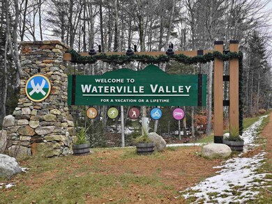 23 Black Bear Rd unit 410, Waterville Valley, NH 03215 - photo 6