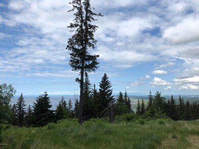 L4 B2 Potter Valley Rd, Anchorage, AK 99516 - photo 6