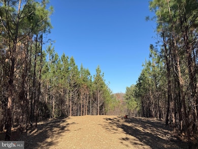 0 Hardware Rd unit VABH2000240, Scottsville, VA 24590 - photo 7