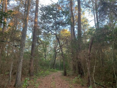 24424 Nichols Sawmill Rd, Magnolia, TX 77355 - photo 2