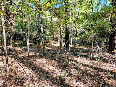 TBD Tunica Trace, Saint Francisville, LA 70775 - photo 4