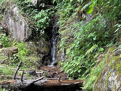 303 Falling Waters Rd unit Tract D, Cullowhee, NC 28723 - photo 3