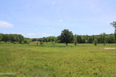 IMG_3801