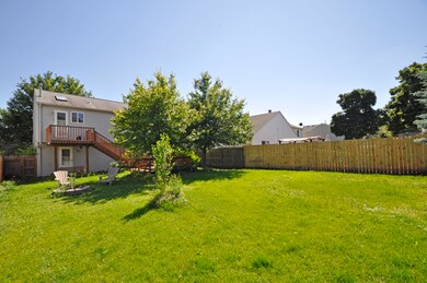 Yard/Garden