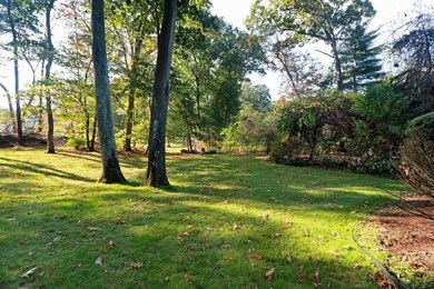 203 Country Way, Needham, MA 02492 - photo 3