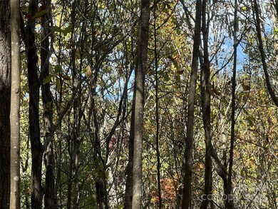 0 Wild Magnolia Way unit 46, Zirconia, NC 28790 - photo 3