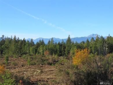 0 Wayne Rd W, Seabeck, WA 98380 - photo 3