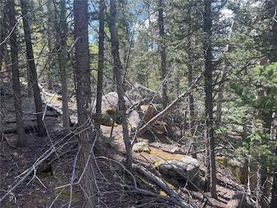 169 Ithaca Ln, Como, CO 80432 - photo 2