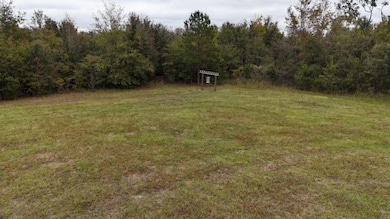 5001 NW Little Cat Rd, Madison, FL 32340 - photo 6