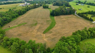 166 Kerrick Ln, Hodgenville, KY 42748 - photo 6