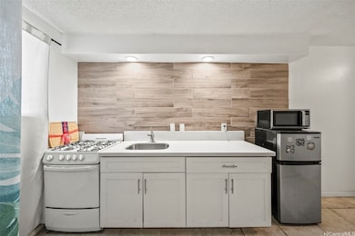 1036 Green St unit 105, Honolulu, HI 96822 - photo 5